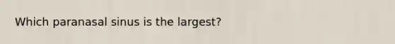 Which paranasal sinus is the largest?