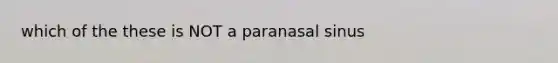 which of the these is NOT a paranasal sinus