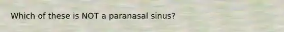 Which of these is NOT a paranasal sinus?