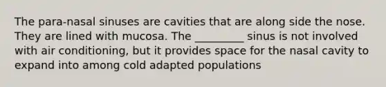 The para-nasal sinuses are cavities that are along side the nose. They are lined with mucosa. The _________ sinus is not involved with air conditioning, but it provides space for the nasal cavity to expand into among cold adapted populations