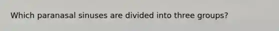 Which paranasal sinuses are divided into three groups?