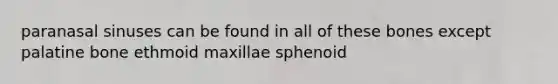 paranasal sinuses can be found in all of these bones except palatine bone ethmoid maxillae sphenoid