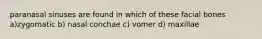 paranasal sinuses are found in which of these facial bones a)zygomatic b) nasal conchae c) vomer d) maxillae
