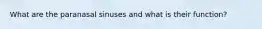 What are the paranasal sinuses and what is their function?