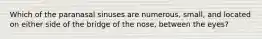 Which of the paranasal sinuses are numerous, small, and located on either side of the bridge of the nose, between the eyes?