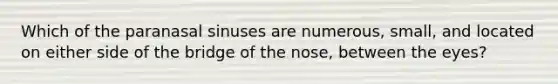 Which of the paranasal sinuses are numerous, small, and located on either side of the bridge of the nose, between the eyes?