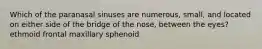 Which of the paranasal sinuses are numerous, small, and located on either side of the bridge of the nose, between the eyes? ethmoid frontal maxillary sphenoid