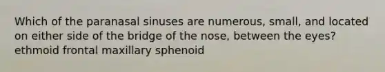 Which of the paranasal sinuses are numerous, small, and located on either side of the bridge of the nose, between the eyes? ethmoid frontal maxillary sphenoid