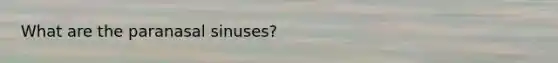 What are the paranasal sinuses?