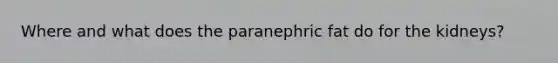 Where and what does the paranephric fat do for the kidneys?