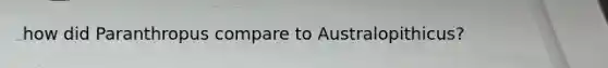 how did Paranthropus compare to Australopithicus?