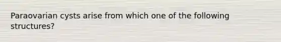 Paraovarian cysts arise from which one of the following structures?