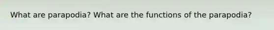 What are parapodia? What are the functions of the parapodia?