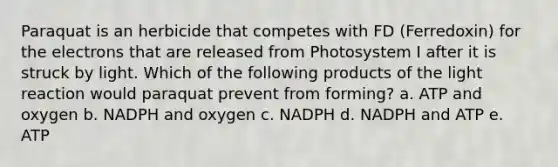 Paraquat is an herbicide that competes with FD (Ferredoxin) for the electrons that are released from Photosystem I after it is struck by light. Which of the following products of the light reaction would paraquat prevent from forming? a. ATP and oxygen b. NADPH and oxygen c. NADPH d. NADPH and ATP e. ATP