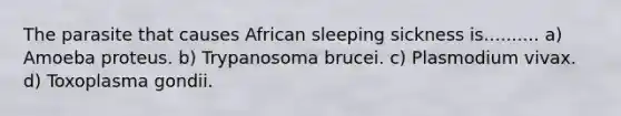 The parasite that causes African sleeping sickness is.......... a) Amoeba proteus. b) Trypanosoma brucei. c) Plasmodium vivax. d) Toxoplasma gondii.