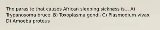 The parasite that causes African sleeping sickness is... A) Trypanosoma brucei B) Toxoplasma gondii C) Plasmodium vivax D) Amoeba proteus