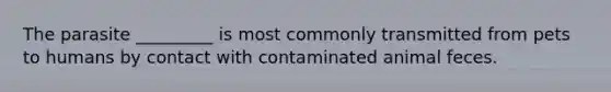 The parasite _________ is most commonly transmitted from pets to humans by contact with contaminated animal feces.