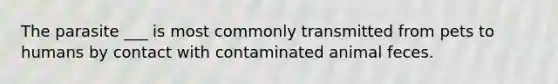 The parasite ___ is most commonly transmitted from pets to humans by contact with contaminated animal feces.