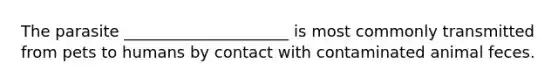 The parasite _____________________ is most commonly transmitted from pets to humans by contact with contaminated animal feces.