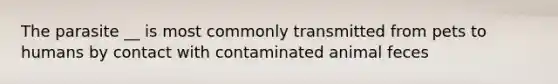 The parasite __ is most commonly transmitted from pets to humans by contact with contaminated animal feces