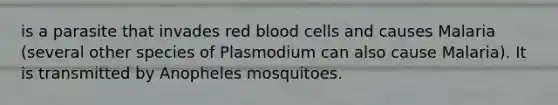 is a parasite that invades red blood cells and causes Malaria (several other species of Plasmodium can also cause Malaria). It is transmitted by Anopheles mosquitoes.