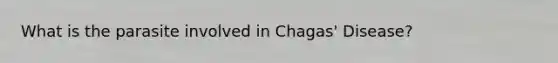 What is the parasite involved in Chagas' Disease?