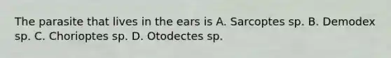 The parasite that lives in the ears is A. Sarcoptes sp. B. Demodex sp. C. Chorioptes sp. D. Otodectes sp.