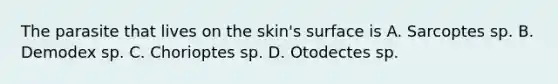 The parasite that lives on the skin's surface is A. Sarcoptes sp. B. Demodex sp. C. Chorioptes sp. D. Otodectes sp.