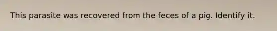 This parasite was recovered from the feces of a pig. Identify it.