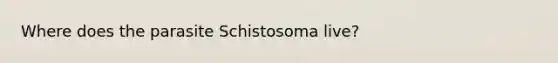 Where does the parasite Schistosoma live?