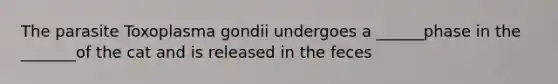 The parasite Toxoplasma gondii undergoes a ______phase in the _______of the cat and is released in the feces