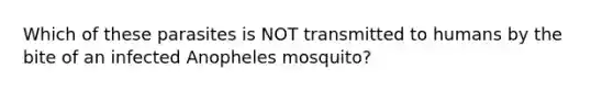 Which of these parasites is NOT transmitted to humans by the bite of an infected Anopheles mosquito?