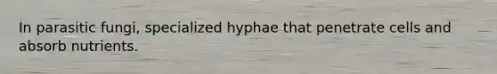 In parasitic fungi, specialized hyphae that penetrate cells and absorb nutrients.