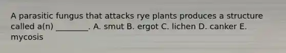 A parasitic fungus that attacks rye plants produces a structure called a(n) ________. A. smut B. ergot C. lichen D. canker E. mycosis