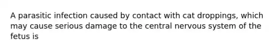 A parasitic infection caused by contact with cat droppings, which may cause serious damage to the central nervous system of the fetus is