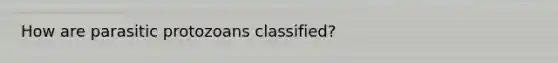 How are parasitic protozoans classified?