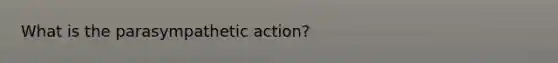 What is the parasympathetic action?