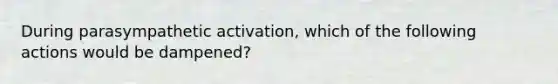 During parasympathetic activation, which of the following actions would be dampened?