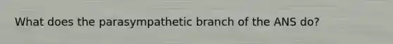 What does the parasympathetic branch of the ANS do?