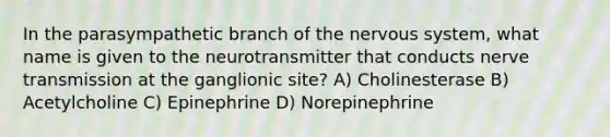 In the parasympathetic branch of the nervous system, what name is given to the neurotransmitter that conducts nerve transmission at the ganglionic site? A) Cholinesterase B) Acetylcholine C) Epinephrine D) Norepinephrine