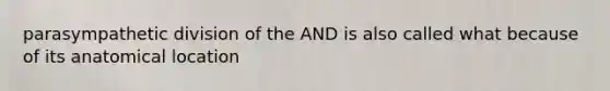 parasympathetic division of the AND is also called what because of its anatomical location