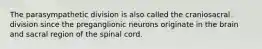 The parasympathetic division is also called the craniosacral division since the preganglionic neurons originate in the brain and sacral region of the spinal cord.