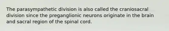 The parasympathetic division is also called the craniosacral division since the preganglionic neurons originate in <a href='https://www.questionai.com/knowledge/kLMtJeqKp6-the-brain' class='anchor-knowledge'>the brain</a> and sacral region of <a href='https://www.questionai.com/knowledge/kkAfzcJHuZ-the-spinal-cord' class='anchor-knowledge'>the spinal cord</a>.