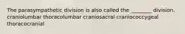 The parasympathetic division is also called the ________ division. craniolumbar thoracolumbar craniosacral craniococcygeal thoracocranial