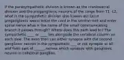 If the parasympathetic division is known as the craniosacral division and the preganglionic neurons of the range from T1 -L2, what is the sympathetic division also known as? Once preganglionic axons leave the cord in the ventral root and enter spinal nerve what is the name of the small communicating branch it passes through? Where does this path lead to? The sympathetic ____ or ____ lies alongside the vertebral column on each side. The axon then can either synapse with the second ganglionic neuron in the sympathetic ___ or not synapse at all and form part of ______ nerves which synapse with ganglionic neuron in collateral ganglion.