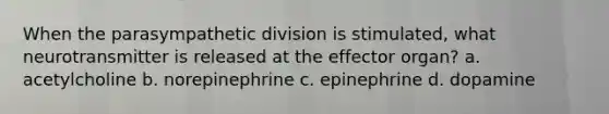 When the parasympathetic division is stimulated, what neurotransmitter is released at the effector organ? a. acetylcholine b. norepinephrine c. epinephrine d. dopamine