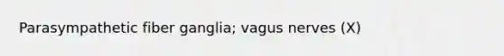 Parasympathetic fiber ganglia; vagus nerves (X)