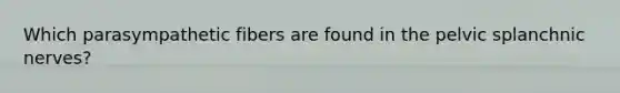 Which parasympathetic fibers are found in the pelvic splanchnic nerves?