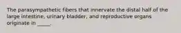 The parasympathetic fibers that innervate the distal half of the large intestine, urinary bladder, and reproductive organs originate in _____.