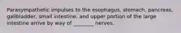 Parasympathetic impulses to the esophagus, stomach, pancreas, gallbladder, small intestine, and upper portion of the large intestine arrive by way of ________ nerves.